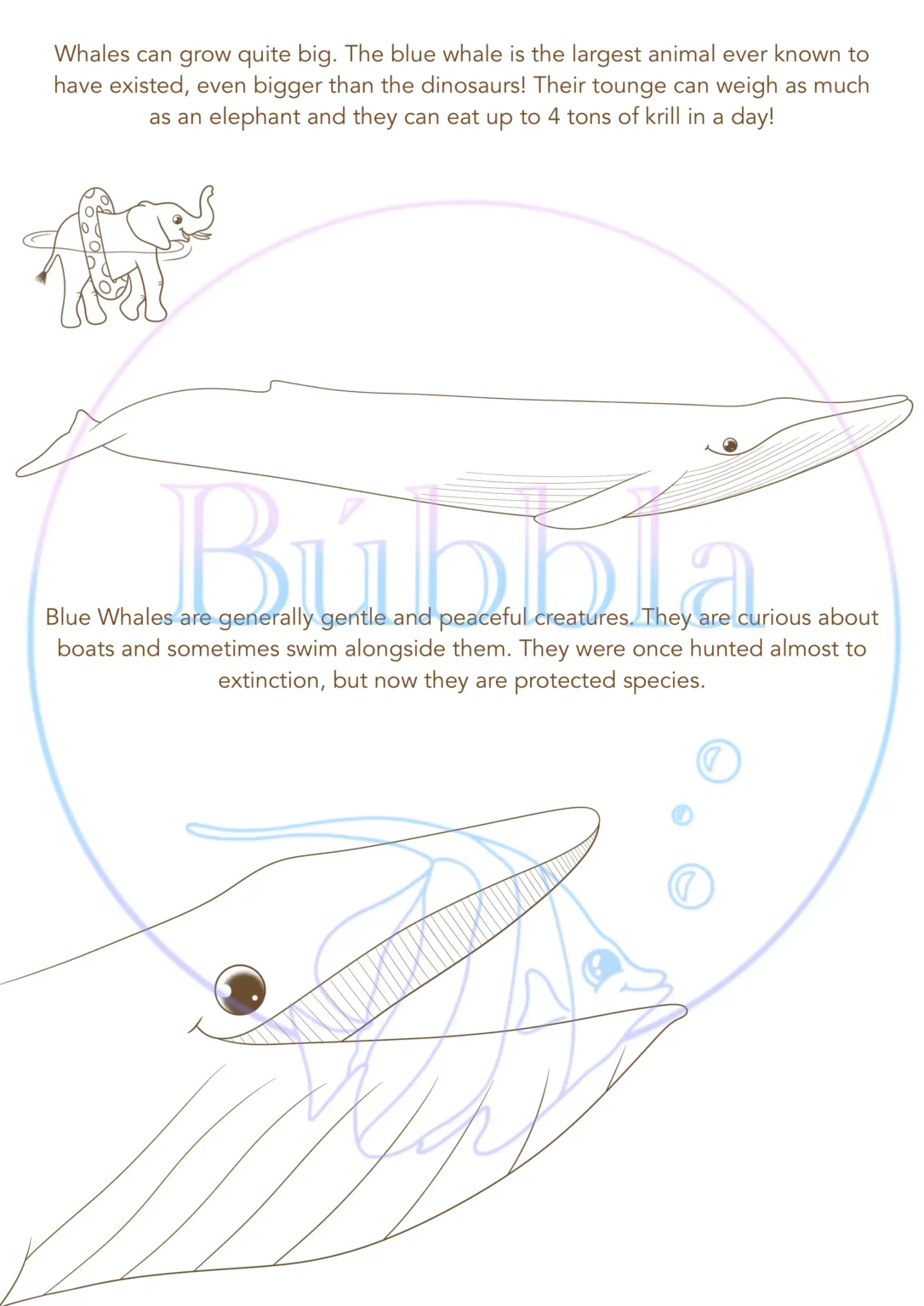 Blue Whales Coloring Page